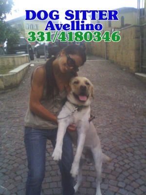 PET SITTER AVELLINO