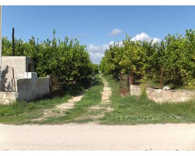 Vendo Terreno vicino la Villa romana del tellaro