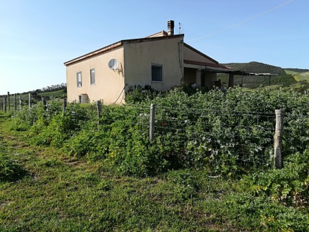 Nurra di Sassari azienda agricola ha 59 !!!