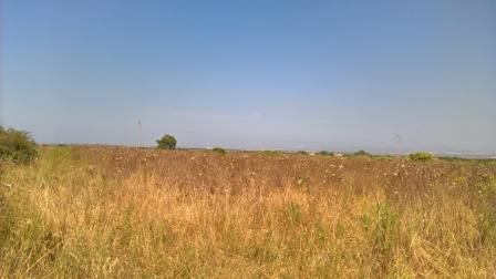Localit� Campanedda terreno agricolo seminativo di Ha 12 !!!