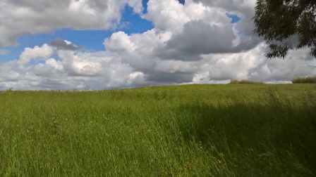 Localit� Tottubella terreno agricolo mq 37.000 seminativo !!!