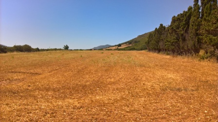 Nurra di Alghero terreno agricolo di ha 57 con caseggiato !!!