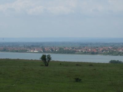 VENDIAMO  TERRENI  AGRICOLI   CON  VISTA  SUL  DANUBIO