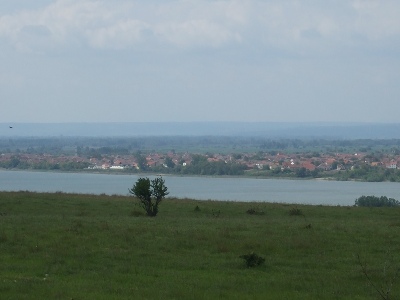 Vendiamo in Romania , provincia Mehedinti , ettari 40 di terreno arabile con vista sul Danubio  