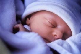 babysitter italiana non fumatrice