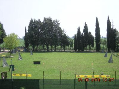 CAMPO S&T - ADDESTRAMENTO CINOFILO 