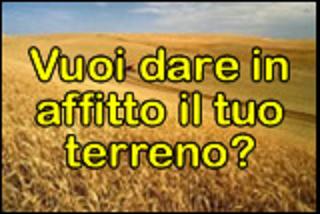 Cerco terreni da affittare x impianti mini eolici - 6.500 euro l'anno x 25 m2