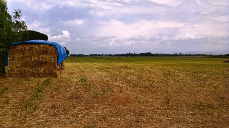 Alghero agro terreno agricolo Ha 2 , pianeggiante, seminativo !!!