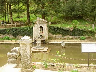 VACANZE DA SOGNO A SERRA SAN BRUNO (VV) 