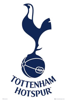 Vacanze studio a Londra in collaborazione con il TOTTENHAM