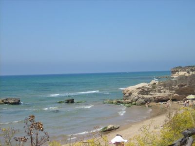 Per una vacanza vicino al mare, alle citt� d'arte con i tuoi amici a 4 zampe
