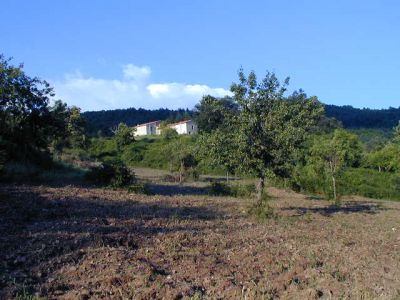 cercasi coppia di contadini allevatori