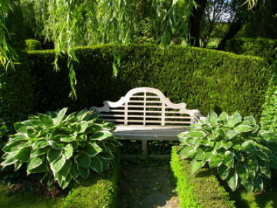 Giardiniere professionista