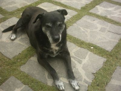 DOLCE FABIOLA