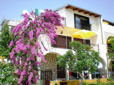apartemanti Croazia 50m dal mare