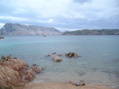 Vacanza al mare di Coda Cavallo