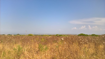 Localit Campanedda terreno agricolo seminativo di Mq 96.000 !!!