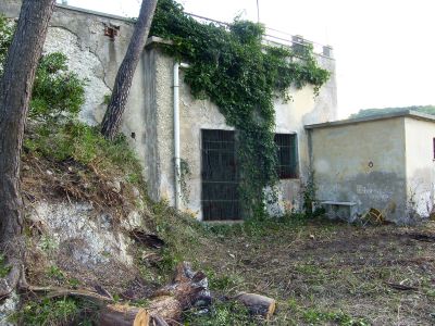 RUSTICO E PINETA SUL MARE LOCALITA' SUL GARGANO