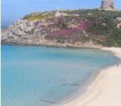 Comodissimo appartamento a 500 mt dal mare!!!