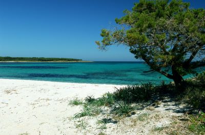 Budoni confortevole casa vacanze con giardino vicino al mare per le tue vacanze in Sardegna!!