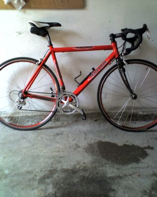 Bicicletta affare da corsa da uomo