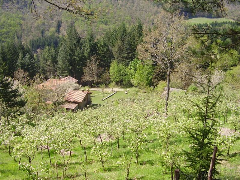 Agriturismo in Toscana tra cervi e scoiattoli