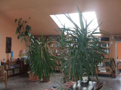 MANSARDA 200mq, TERRAZZA AL PIANO60mq,VISTAMARE