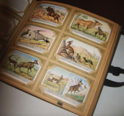 ALBUM DI FIGURINE LIEBIG ANNI '50 MOLTO RARO