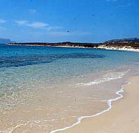 Offerta speciale Ville a 300 metri dalla spiaggia Sardegna