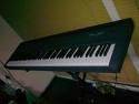 Piano Digitale  ROLAND FP8