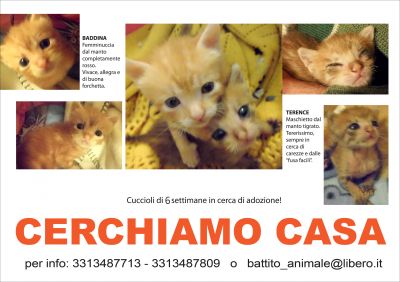 Buddina e Terence Cercano Adozione