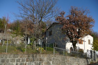 AFFITTASI APPARTAMENTO