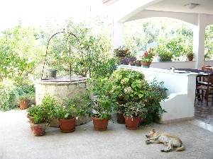 Vieste - Appartamenti per vacanze