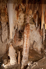 PRENOTAZIONE DI VISITE GUIDATE, ESCURSIONI, ATTIVITA� DIDATTICHE PER LE SCUOLE IN VIAGGIO DI ISTRUZI