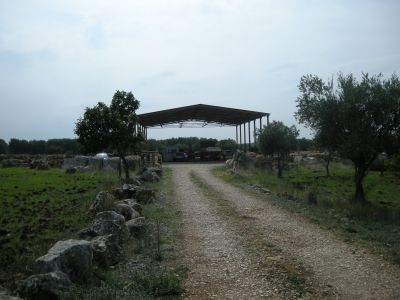 TERRENO CON CAPANNONE PER VARI UTILIZZI