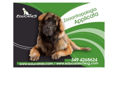 EDUCARE IL MIO CUCCIOLO A ROMA.