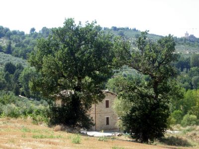 APPARTAMENTI DA 2-4 POSTI A BEVAGNA NEL CUORE VERDE DELL'UMBRIA