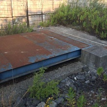 Vendesi pesa a ponte Tassinari