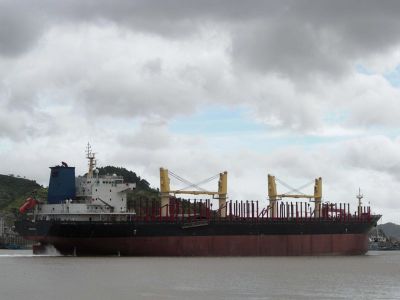 Nave nuova BC-Log 31800 DWT!