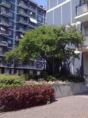 Bilocale arredato residenziale