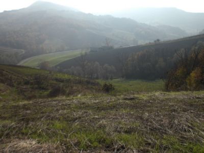 Terreno agricolo in collina con eventuale abitazione in affitto  