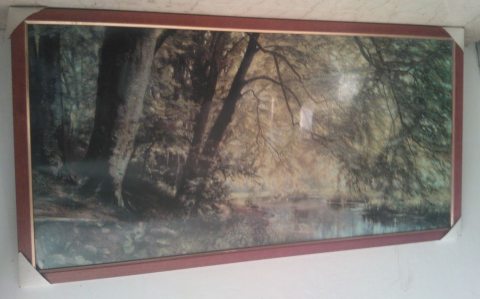 QUADRO IKEA (NUOVO DI ZECCA) 1999