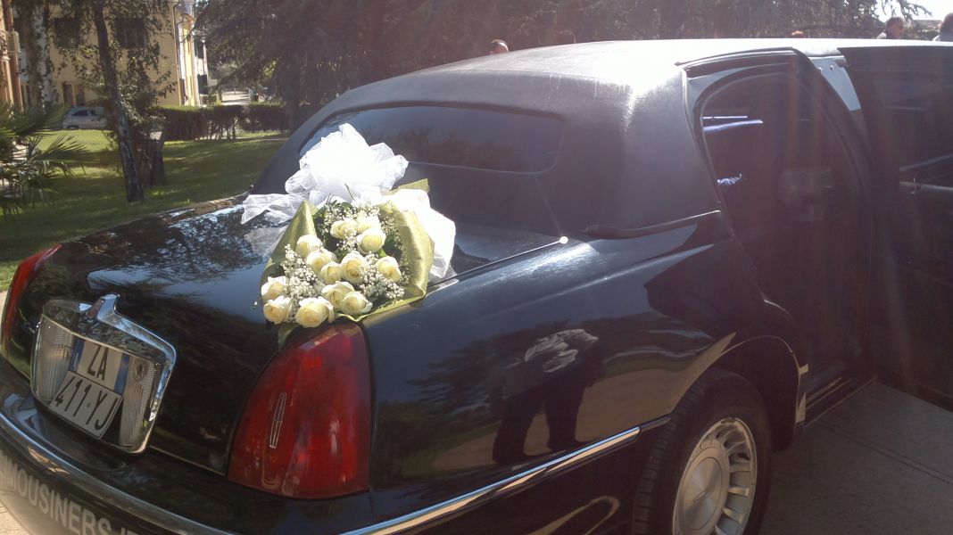 Noleggio Limousine