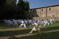 Corsi di Taijiquan (Tai chi) stile Chen 