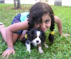 Regalo calvalier king charles spaniel