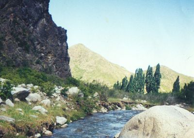 La bellezza del mondo in MENDOZA ARGENTINA