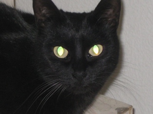 MIMI' 2 ANNI 