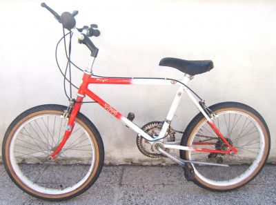 Bici Mountainbike