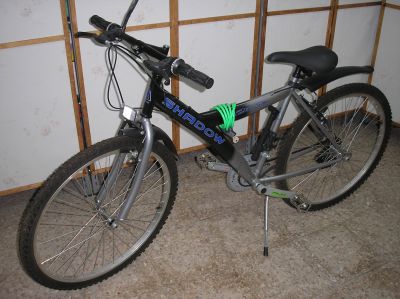 Mountain Bike