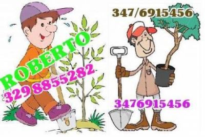 GIARDINIERE AVELLINO 329/8855282